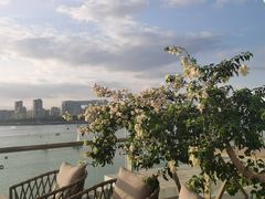 -五缘湾游艇帆船俱乐部