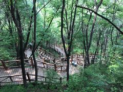 -大岭沟猕猴桃谷风景区