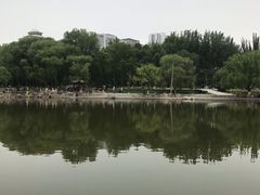 -西宁市人民公园(城西区)