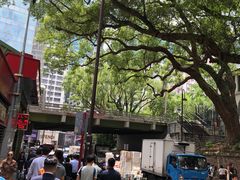 -九龙公园