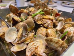 辣炒红岛花蛤-开海·红岛海鲜虾水饺(石老人店)