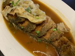 黄河大鲤鱼-陕北南泥湾·延安本地菜(人民公园店)