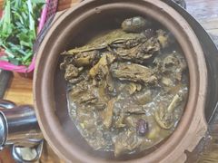 -屯昌枫木香草鸭(羊栏店)