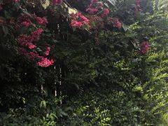 -南丫岛