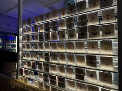 -Sirena海妖日咖夜酒