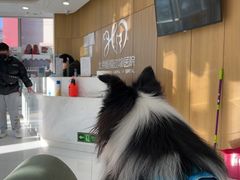 -北京恒爱动物医院(清景园分院)