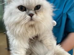 -宠颐生中康贝怡动物医院