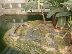 -石家庄市动物园