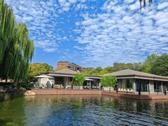 -唐城墙遗址公园