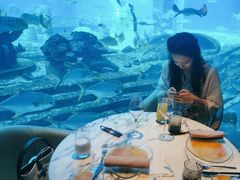 -亚特兰蒂斯•OSSIANO奥西亚诺海底餐厅
