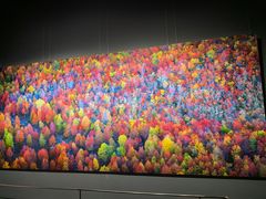 -罗红摄影艺术馆