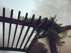 iphone_upload_pic-梁鸿国家湿地公园