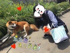 -HONGA HONGA雄家(曹路店)