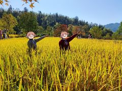 -塔川景区
