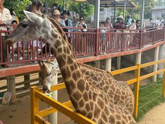 -西霞口神雕山野生动物世界
