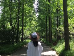 -崇明东平国家森林公园烧烤房车露营地