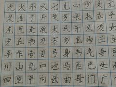 -赵汝飞练字(南京路国际贸易中心校区)