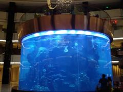 -OPEN開全日自助餐厅·牛肉火锅·海鲜(佛山希尔顿酒店)