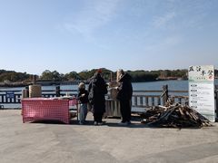 -上海都市菜园