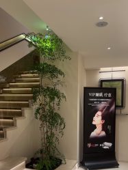 -普洛蒂亚·科技美肤中心