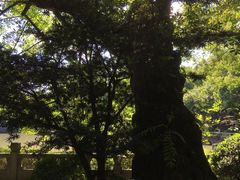 景点-汇龙潭