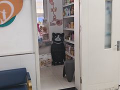 -派美特宠物医院·核磁CT·骨科肿瘤·疑难转诊(沈农禾丰店)