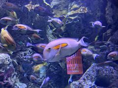 -成都浩海立方海洋公园