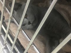 -美美宠物诊疗中心·异宠·骨科(滨江东信分院)