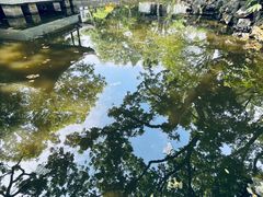 -秋霞圃