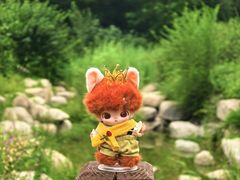 -莲花池公园