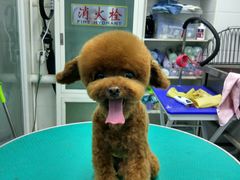 -达爱动物医院·犬猫分区·CT·复杂眼科(远洋山水分院)