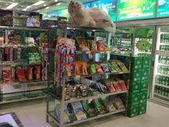 -迪迪派KTV(创业大厦店)