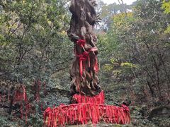 -燕子河大峡谷天坑仙境