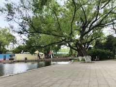 -北陵公园