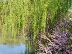 -同里国家湿地公园