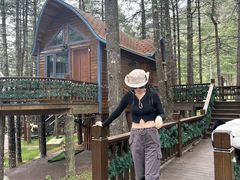 -洛阳白云山景区