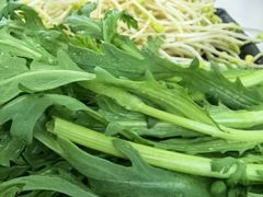 -南渝食府.墨脱石锅松茸鸡