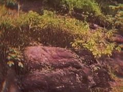 -广州七星岗古海岸遗址科学公园