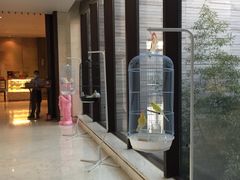 -上海崇明金茂凯悦酒店