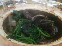 -台山美食一绝阿四台山黄鳝饭(阿四创作店)
