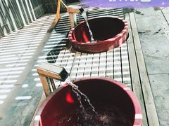 -嘉佑温泉水世界