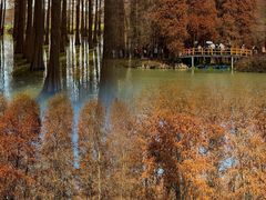 -星湖旅游景区七星岩