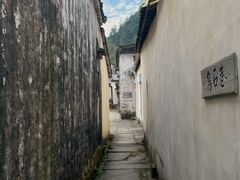 -石台牯牛降景区