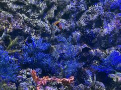 -欢乐海岸海洋奇梦馆