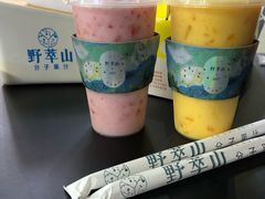 -野萃山·潮汕厚果汁(十亩地店)