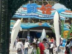 -海合安成都极地海洋公园