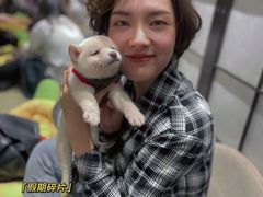 -逗柴咖啡屋·狗咖猫咖宠物桌游