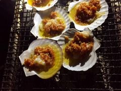 -崇明东平国家森林公园烧烤房车露营地