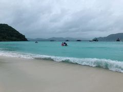 -珊瑚岛