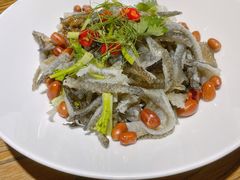 凉拌鱼皮-广东道至正餐厅(区庄店)